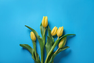 Naklejka premium Many beautiful tulips on blue background, flat lay
