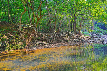 a scenery of country park Shing Mun reservoir in Hong Kong