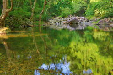 a scenery of country park Shing Mun reservoir in Hong Kong