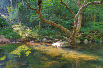 a scenery of country park Shing Mun reservoir in Hong Kong