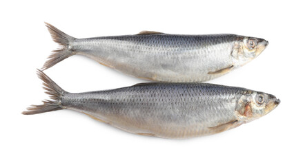 Whole delicious salted herrings isolated on white, top view