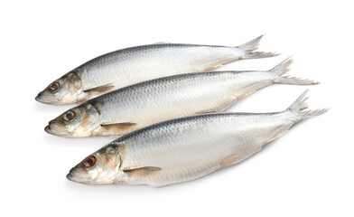 Fototapeta premium Whole delicious salted herrings isolated on white