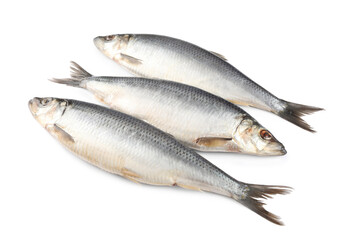 Fototapeta premium Whole delicious salted herrings isolated on white