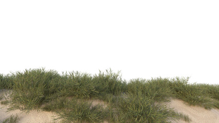 sand dunes and grass