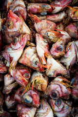 Fish heads used as lobster bait