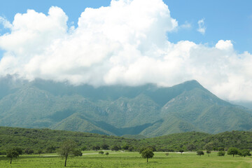 Obraz premium Picturesque view of mountains and green meadow