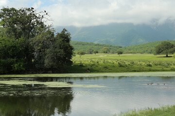 Picturesque view of mountains and green meadow with lake