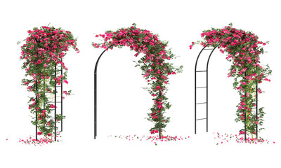 arched pergola with roses isolated - obrazy, fototapety, plakaty