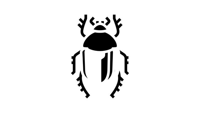 scarab bug glyph icon animation