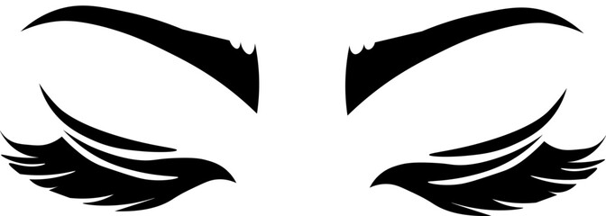 Eyes closed with long, black eyelashes. False eyelashes. Silhouette of eye lashes and eyebrow