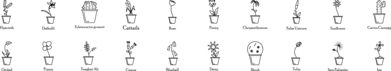Flower icons collection vector illustration design