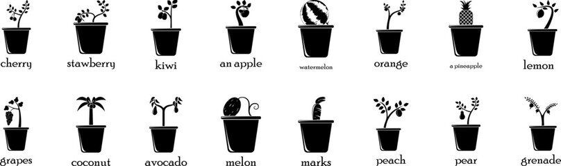 Fruit in a pot icons collection vector illustration design