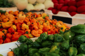 Heap of fresh Cascabel peppers on counter at market, closeup. Space for text