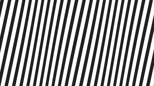 Black and white stripe motion background, stripe cartoonist background. Wave pattern. Animated background. 4k