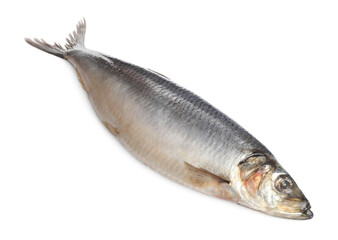 Whole delicious salted herring isolated on white