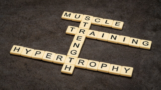 muscle, training for strength and hypertrophy crossword in ivory letter tiles against textured bark paper, fitness concept