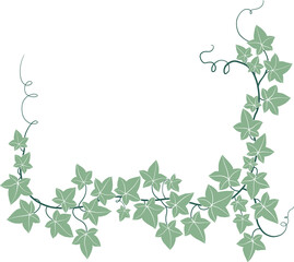 Simplicity ivy freehand drawing - obrazy, fototapety, plakaty