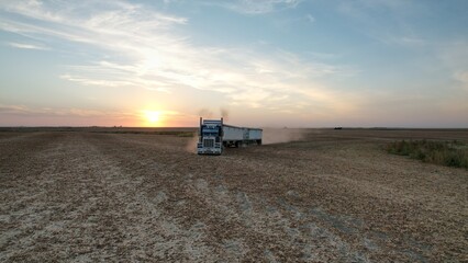 Fototapeta premium combine harvester working on the field