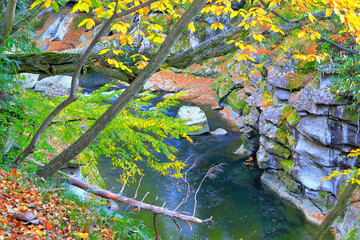 落ち葉と岩と渓流の磊々峡（らいらいきょう）