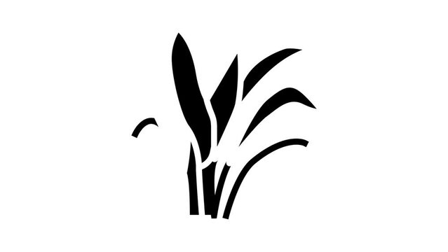amazon sword glyph icon animation