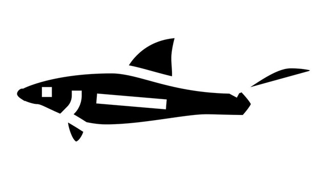 otocinclus fish glyph icon animation