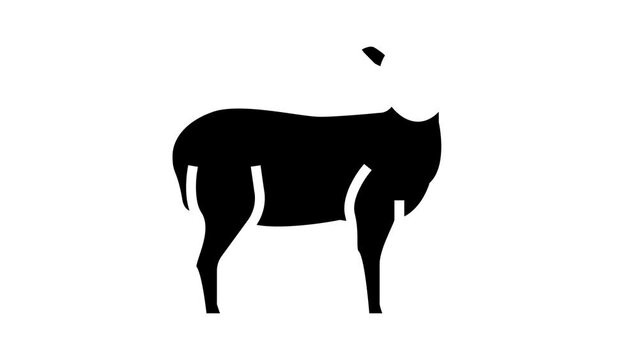 lamb domestic farm animal glyph icon animation