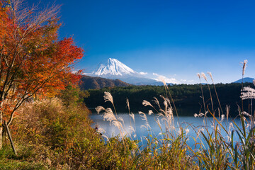 紅葉の西湖と冠雪した富士山