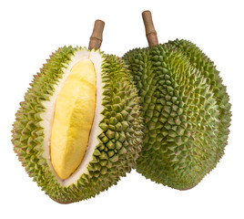 Durian isolated on white background, Durian for packaging design PNG File.