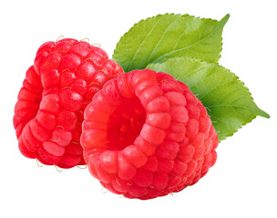 Red Raspberry with leaves on white background, Fresh Raspberries on White Background PNG File.
