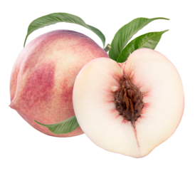 White Peach fruit with leaf on white background, Fresh White Peach on White Background PNG File.