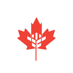 Maple leaf with wheat creative logo design vector