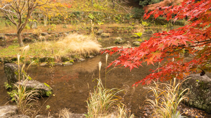 日本の秋のイメージ｜きれいな紅葉と池