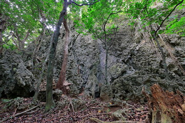 Kenting National Forest Recreation Area in Hengchun Township, Pingtung County, Taiwan