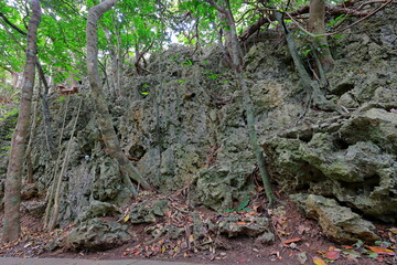 Kenting National Forest Recreation Area in Hengchun Township, Pingtung County, Taiwan