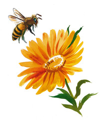 Yellow flower and flying honey bee. Ink and watercolor drawing