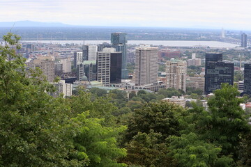  Montreal is the largest city in the Canadian province of Quebec.