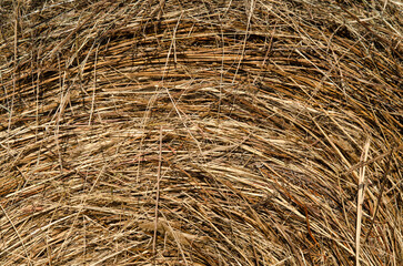 A stack of hay
