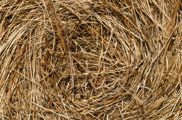 A stack of hay