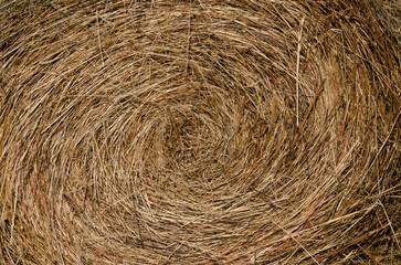 A stack of hay
