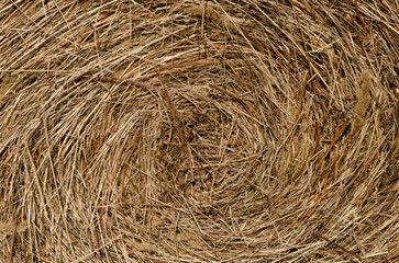 A stack of hay
