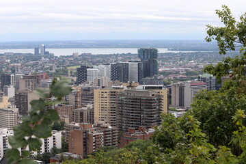  Montreal is the largest city in the Canadian province of Quebec.