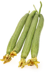 fresh loofah on the white background