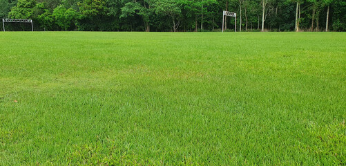 foreground of green grass in park used for children playing field