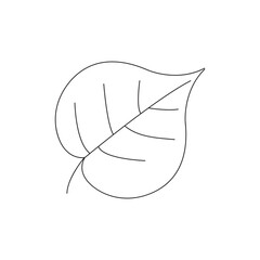 Leaf Fresh Organic Plant. Vector Hand Drawn Illustration isolated on a white background.