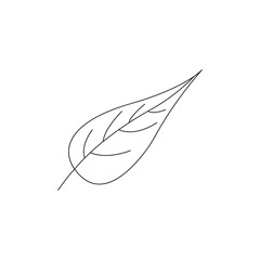 Leaf line art icon isolated on a white background. vector illustration isolated. 