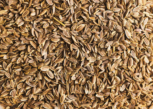 dill seeds background