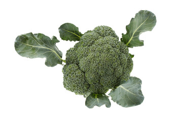 broccoli