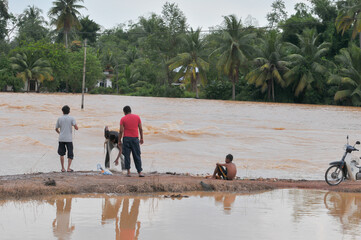 four teenagers are fishing in a flooded rice field