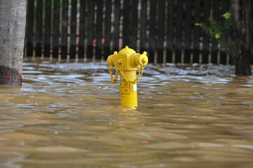 yellow fire hydrant flooded