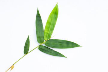 Bamboo leaves on white background.